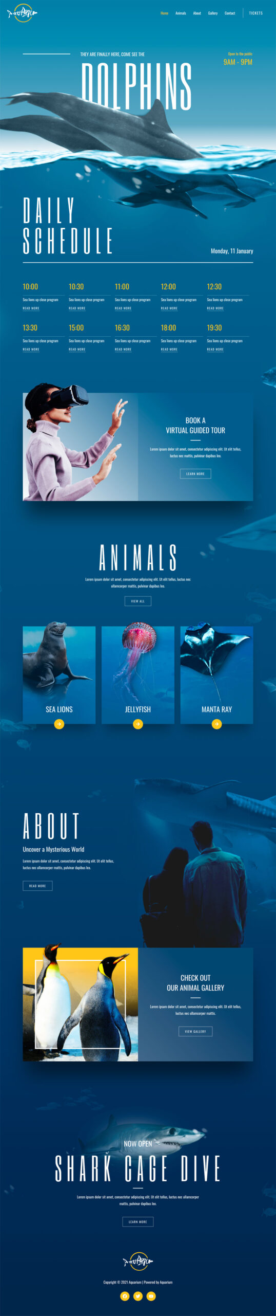 Aquarium 04 Home Scaled 1